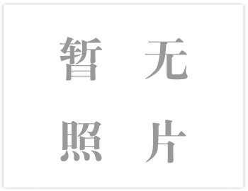 M、AH、HH型渣漿泵